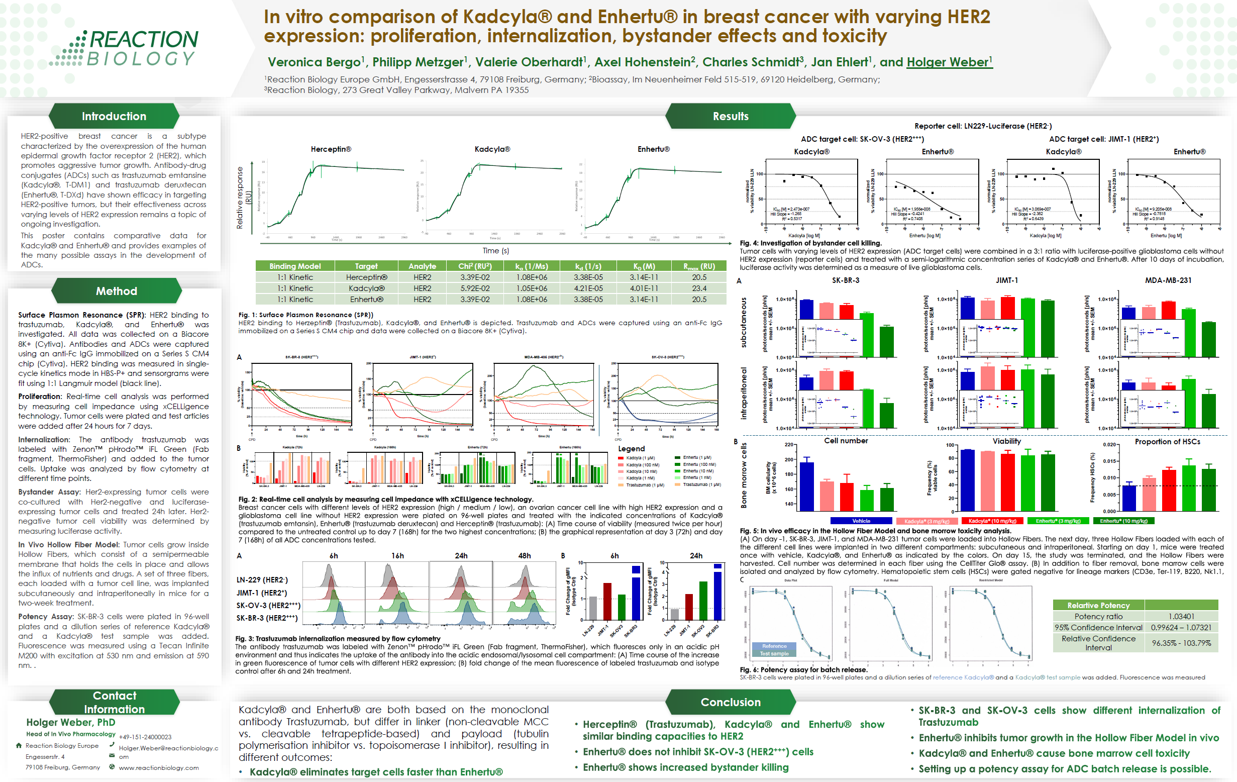 In Vitro Comparison of Kadcyla® and Enhertu® in Breast Cancer