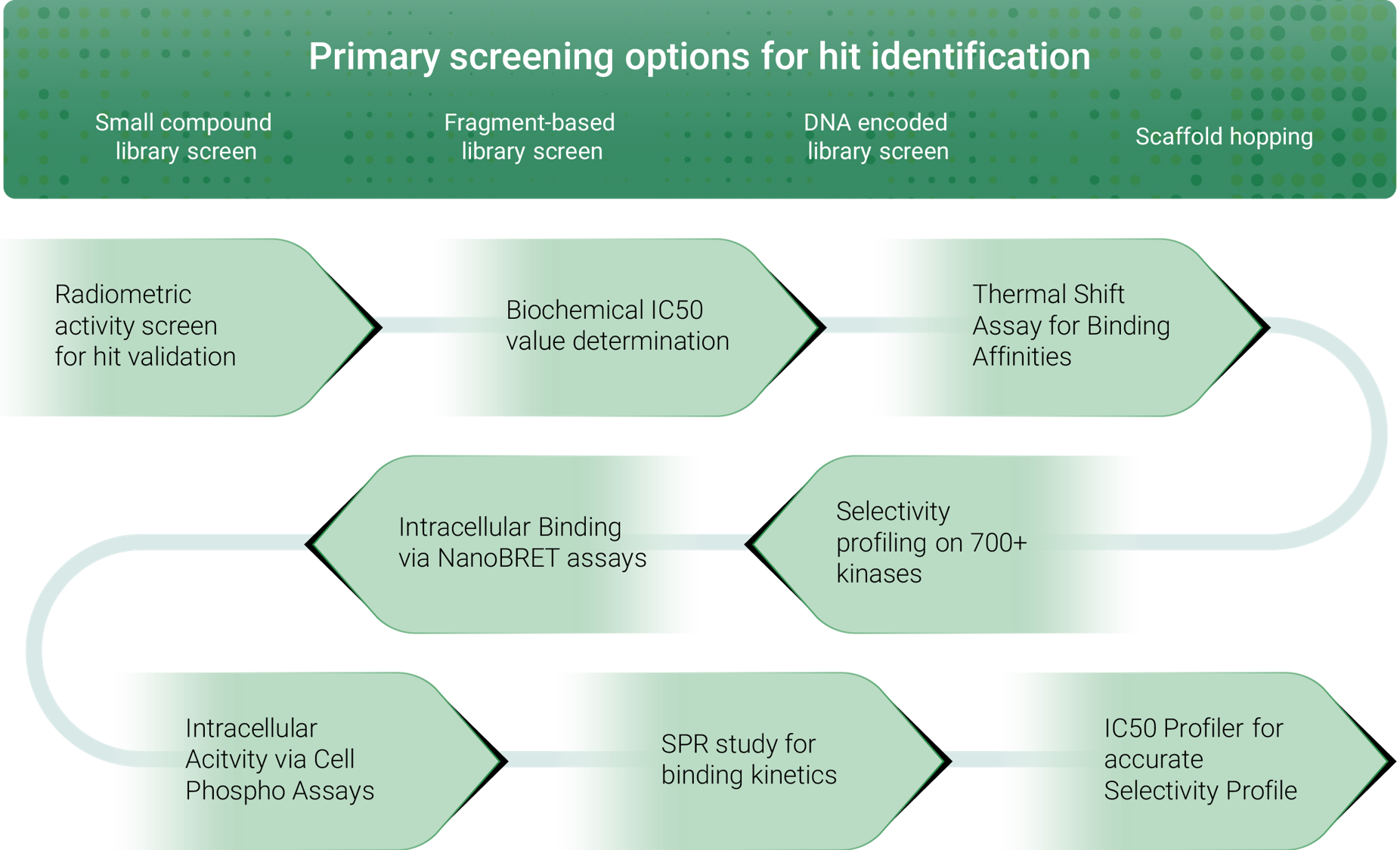compound screening cascade with kinase inhibitors