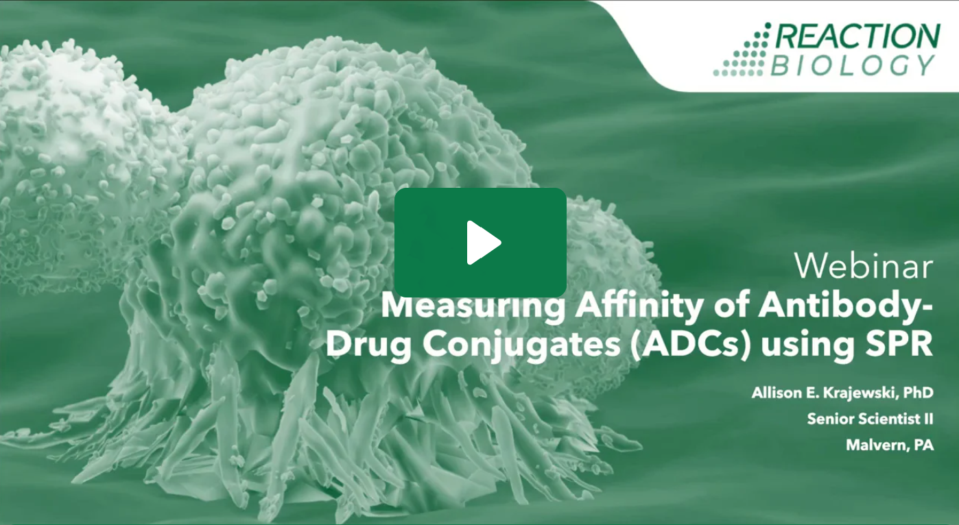 Comparison of ADCs using Surface Plasmon Resonance (SPR)