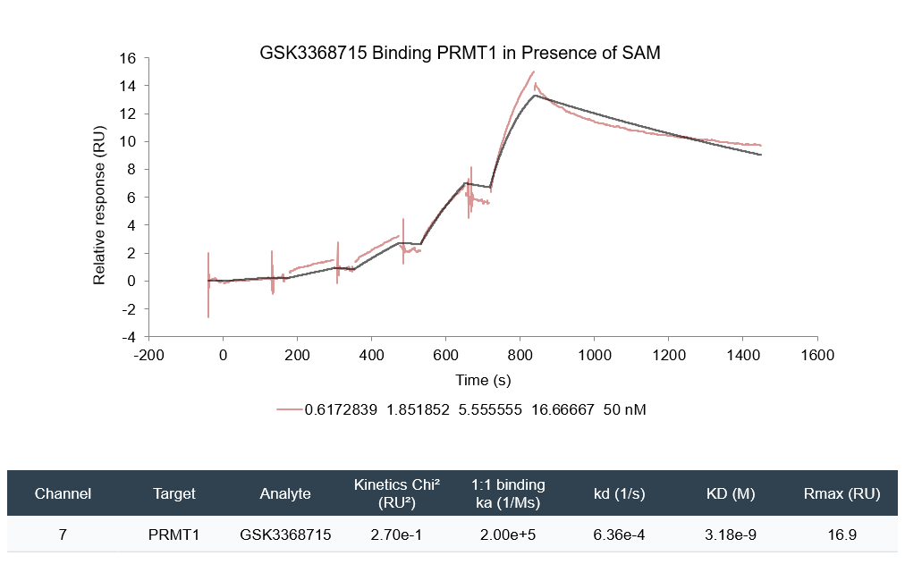 Binding of GSK3368715 to PRMT1 in the presence of SAM