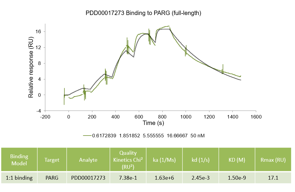 Binding of PARG inhibitor PDD00017273 to full-length PARG
