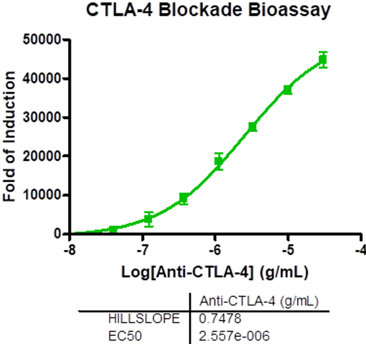CTLA-4 Blockade Bioassay