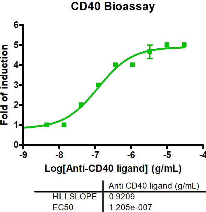 CD40 Bioassay