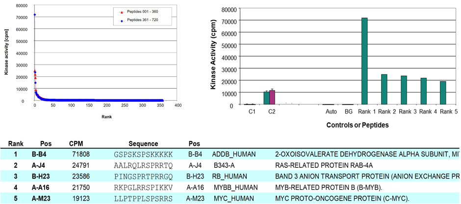 Finding a physiological substrate for a kinase with the example of CDK1/CycB1