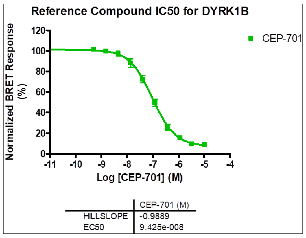 Reference compound IC50 for DYRK1B