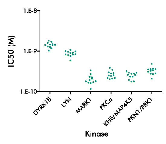 reproducibility radiometric kinase panel screening