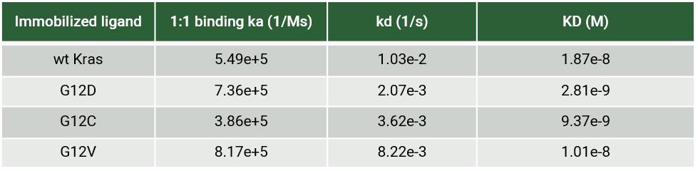 comparison of KRpep-2d bound to KRas wild type and mutants with SPR