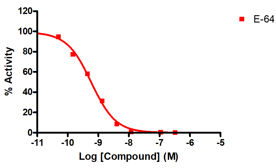 Reference compound IC50 for Cathepsin S