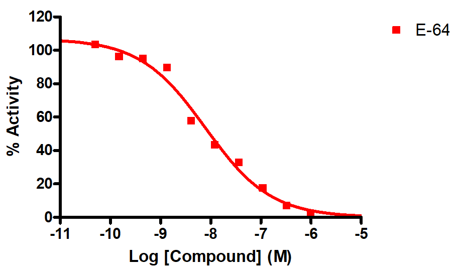 Reference compound IC50 for Cathepsin V