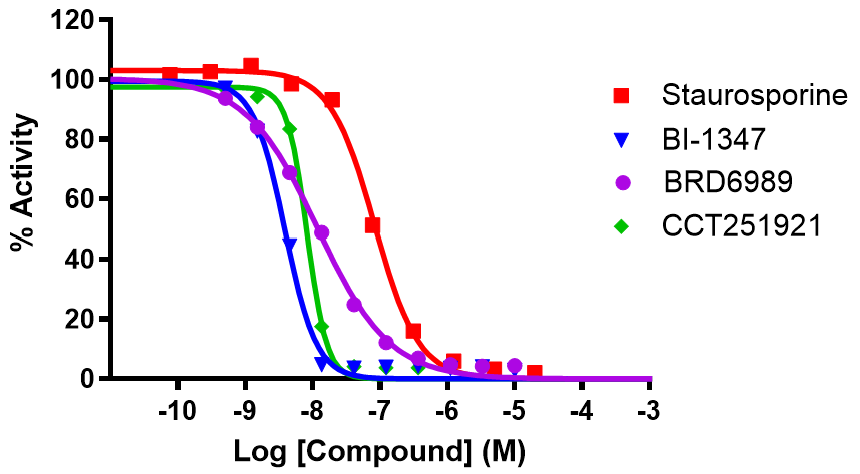 Reference compound inhibition for CDK8/Cyclin C