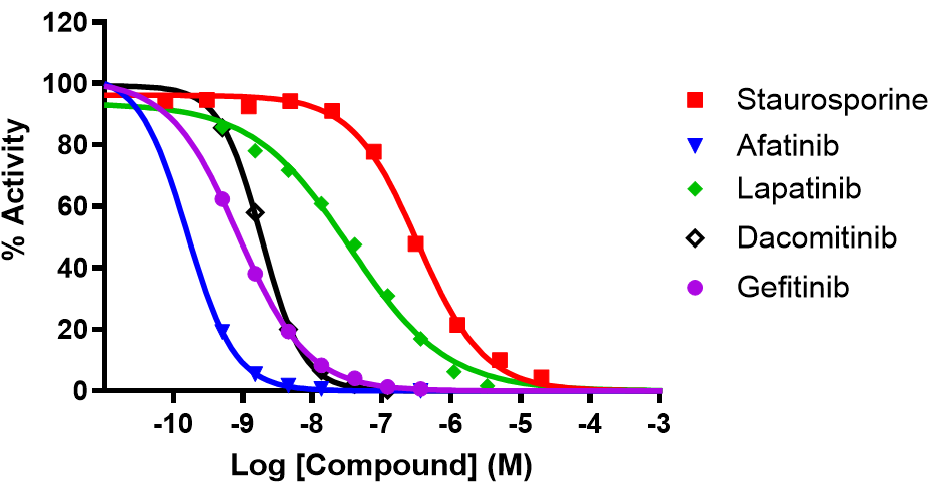 Reference compound inhibition of ERBB2 (P780_Y781INSGSP)