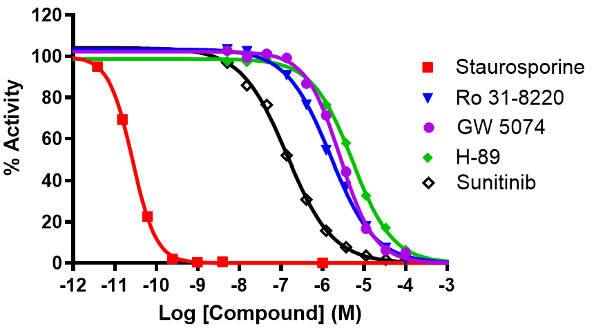 Reference compound inhibition of MARK3