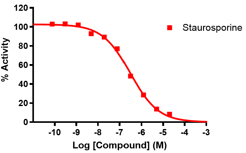 Reference compound inhibition of MAST3
