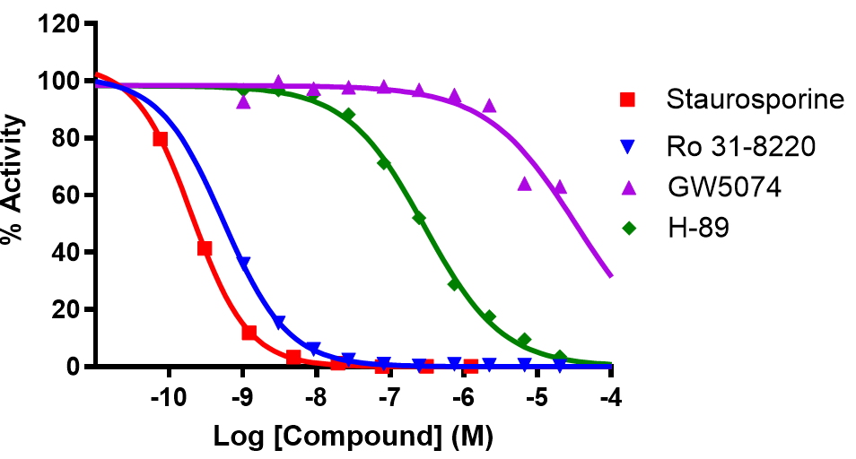 Reference compound inhibition of PKCepsilon