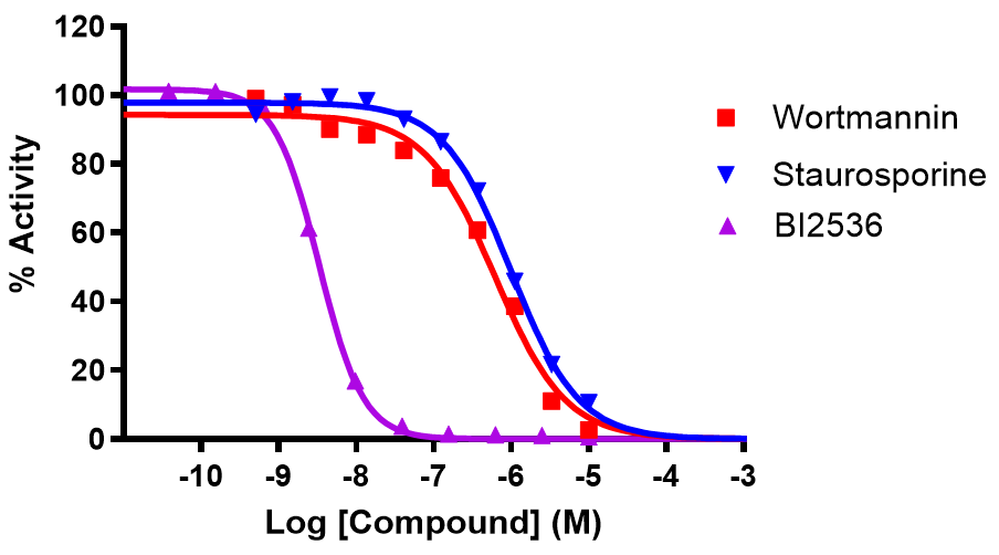 Reference compound inhibition of PLK3