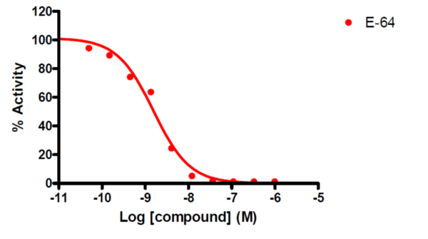 Reference compound IC50 for Cathepsin L