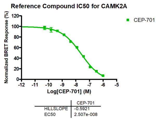 Reference compound IC50 for CAMK2A