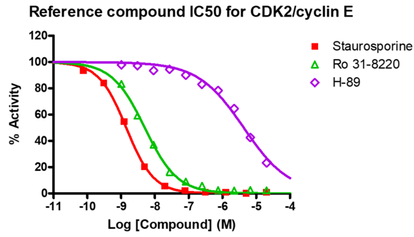 Reference compound IC50 for CDK2/cyclin E