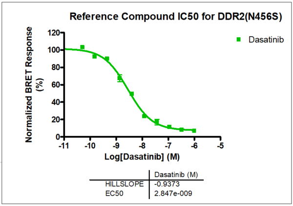 Reference compound IC50 for DDR2 (N456S)