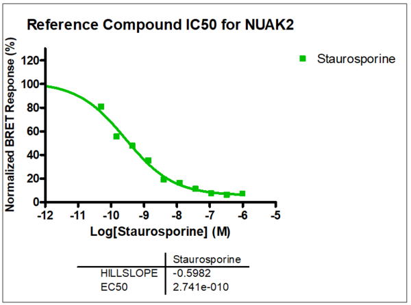 Reference compound IC50 for NUAK2