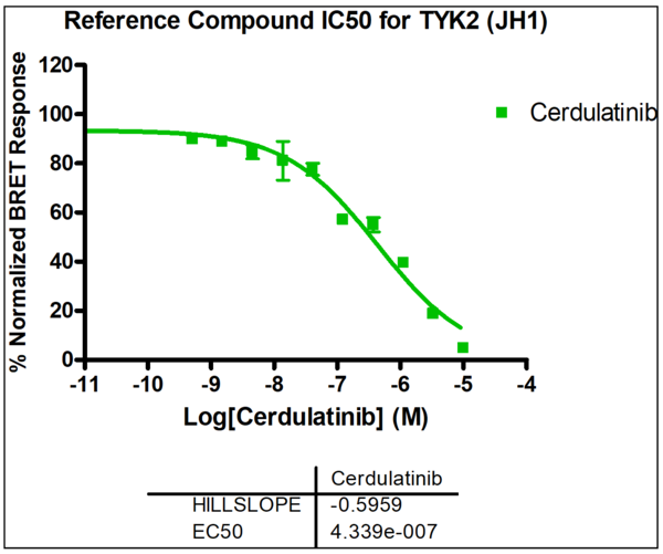 Reference compound IC50 for TYK2 (JH1)