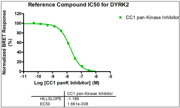 Reference compound IC50 for DYRK2