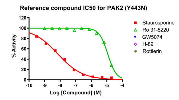 Reference compound IC50 for PAK2 (Y443N)