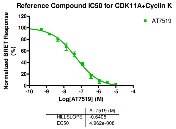 Reference compound IC50 for CDK11A+Cyclin K