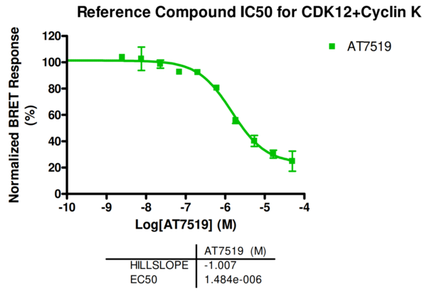 Reference compound IC50 for CDK12+Cyclin K