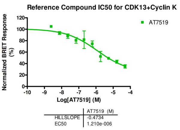 Reference compound IC50 for CDK13+Cyclin K