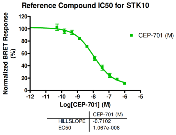 Reference compound IC50 for STK10
