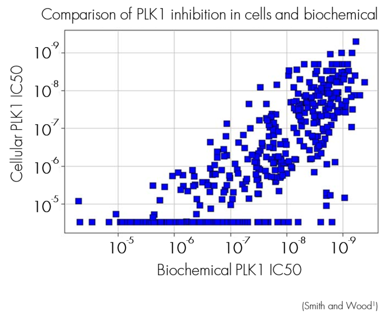 Comparison of PLK1 inhibition in cells and biochemical
