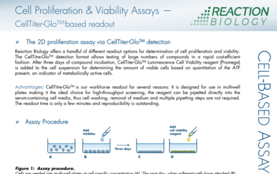 Cell Proliferation Assay with CellTiter-Glo Readout