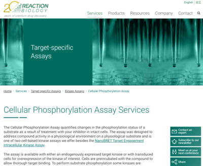 Cellular Phosphorylation Assay Services