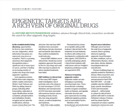 thumbnail publication epigenetic targets and drug discovery