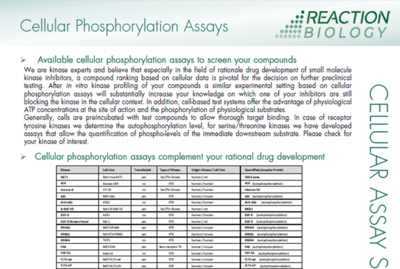 Thumbnail of Cellular Phosphorylation Assay Info sheet