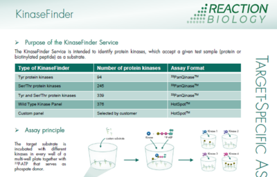 Info sheet KinaseFinder