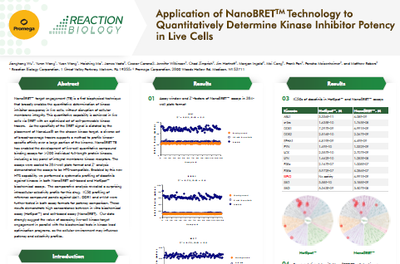 Thumbnail of Poster about the application of NanoBRET Technology to Determine Kinase Inhibitor Potency in Live Cells