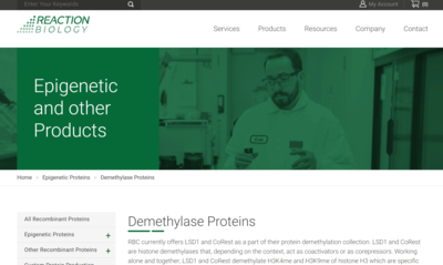 Demethylase Proteins