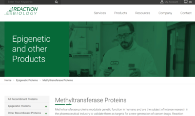 Methyltransferase Proteins