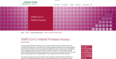 SARS-CoV-2-related Protease Assay