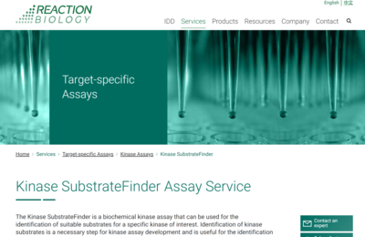 Kinase SubstrateFinder Assay Service