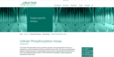 Thumbnail to cell phosphorylation webpage