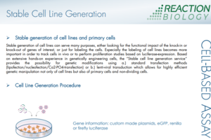 Stable Cell Line Generation