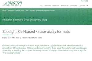 Cell-based kinase assay formats