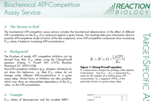 Biochemical ATP-Competition Assay Service