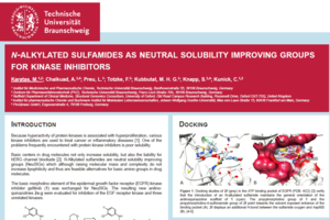 N-alkylated sulfamides poster