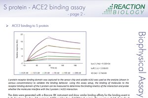 S protein – ACE2 binding assay