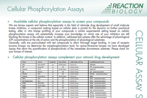 Thumbnail of Cellular Phosphorylation Assay Info sheet
