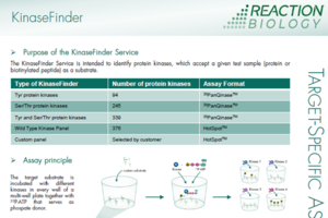 Info sheet KinaseFinder